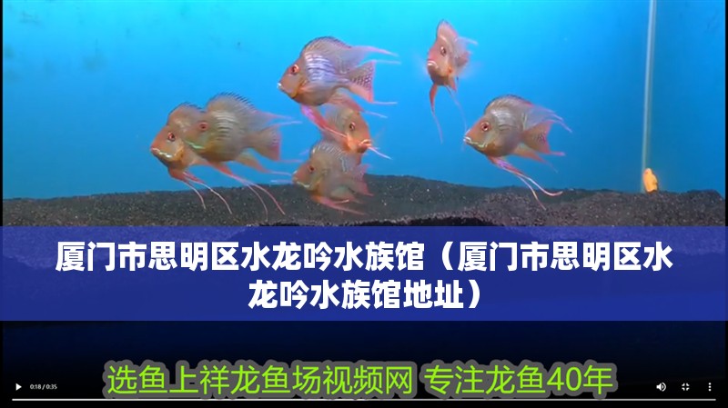 廈門市思明區(qū)水龍吟水族館（廈門市思明區(qū)水龍吟水族館地址）