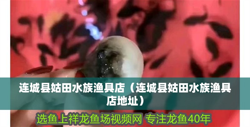 連城縣姑田水族漁具店（連城縣姑田水族漁具店地址）