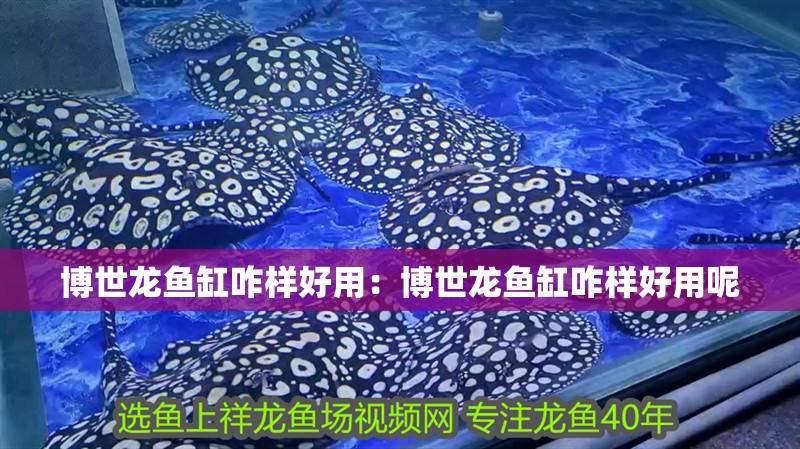 博世龍魚缸咋樣好用：博世龍魚缸咋樣好用呢