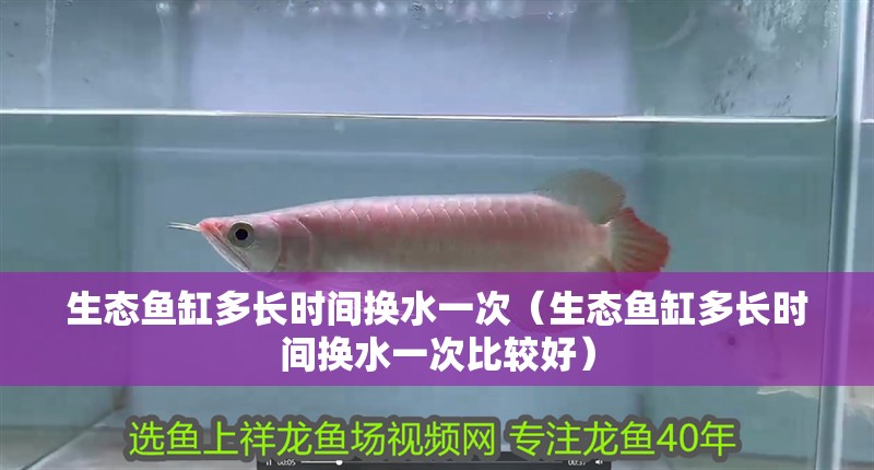 生態魚缸多長時間換水一次（生態魚缸多長時間換水一次比較好）