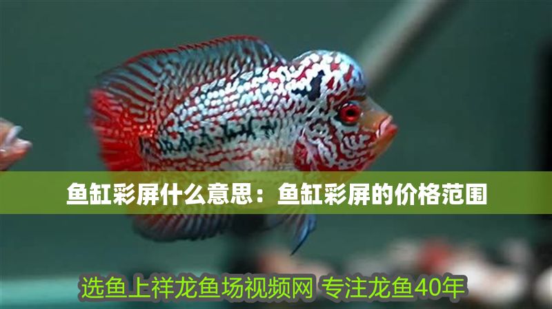 魚缸彩屏什么意思：魚缸彩屏的價格范圍 魚缸彩屏什么意思：魚缸彩屏的價格范圍 魚缸百科 第1張