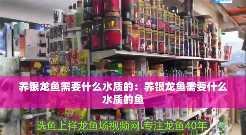 養(yǎng)銀龍魚需要什么水質的：養(yǎng)銀龍魚需要什么水質的魚