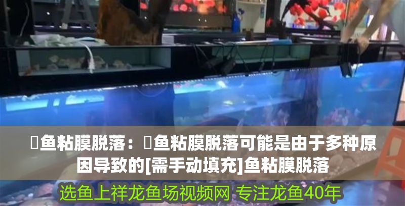 魟魚粘膜脫落：魟魚粘膜脫落可能是由于多種原因導致的[需手動填充]魚粘膜脫落