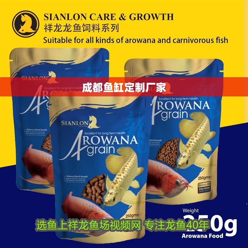 成都魚缸定制廠家