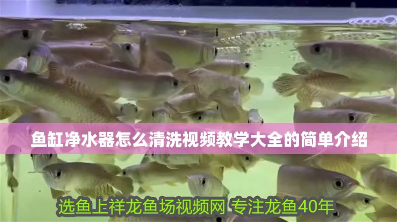 魚缸凈水器怎么清洗視頻教學大全的簡單介紹
