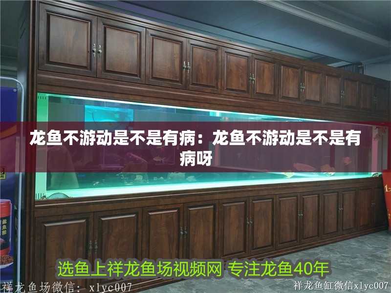 龍魚不游動是不是有?。糊堲~不游動是不是有病呀