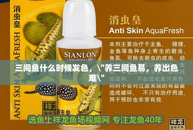 三間魚什么時候發色，\