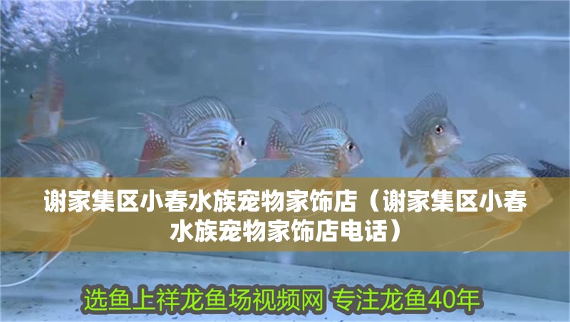 謝家集區小春水族寵物家飾店（謝家集區小春水族寵物家飾店電話） 謝家集區小春水族寵物家飾店（謝家集區小春水族寵物家飾店電話） 全國水族館企業名錄 第1張