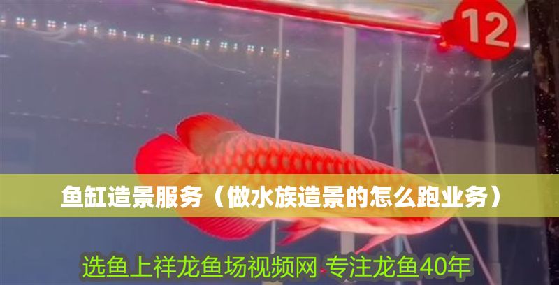 魚缸造景服務(做水族造景的怎么跑業務) 錦鯉魚百科 第1張 魚缸造景服務(做水族造景的怎么跑業務) 魚缸造景服務(做水族造景的怎么跑業務) 錦鯉魚百科 第1張