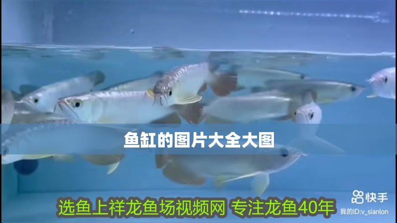 魚缸的圖片大全大圖 魚缸的圖片大全大圖 龍魚百科 第1張
