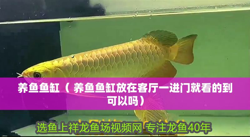 養魚魚缸（ 養魚魚缸放在客廳一進門就看的到可以嗎）