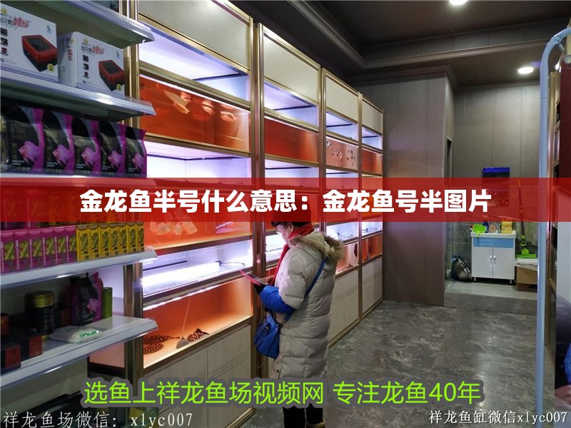 金龍魚半號什么意思：金龍魚號半圖片