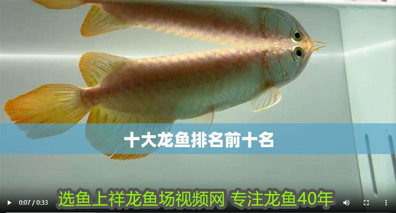 十大龍魚排名前十名