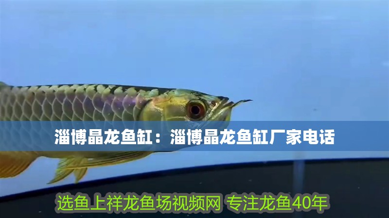 淄博晶龍魚缸：淄博晶龍魚缸廠家電話