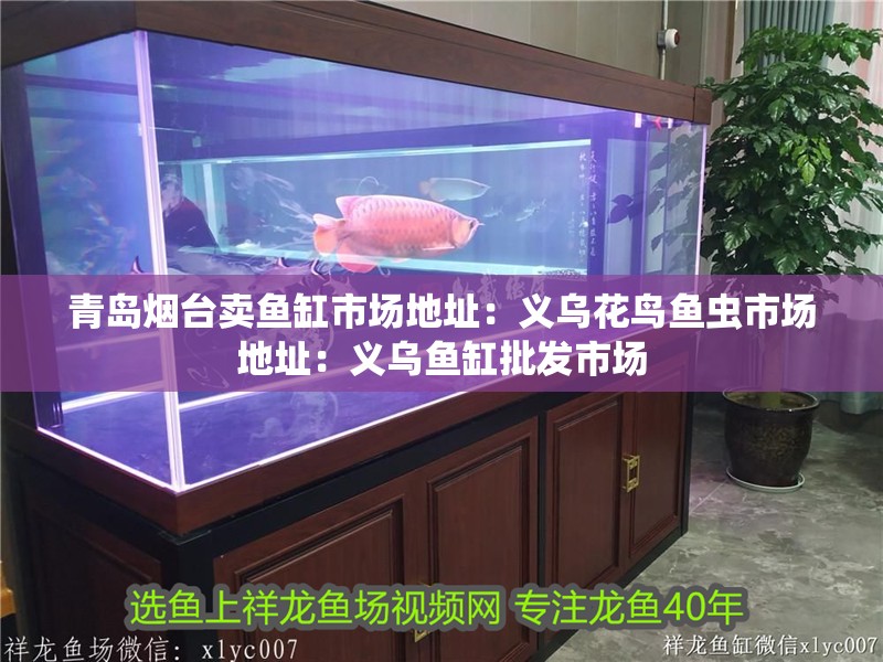 青島煙臺賣魚缸市場地址：義烏花鳥魚蟲市場地址：義烏魚缸批發市場