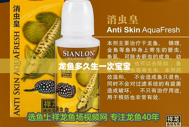 龍魚多久生一次寶寶 龍魚百科 第2張 龍魚多久生一次寶寶 龍魚多久生一次寶寶 龍魚百科 第2張