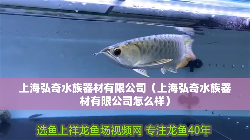 上海弘奇水族器材有限公司（上海弘奇水族器材有限公司怎么樣）