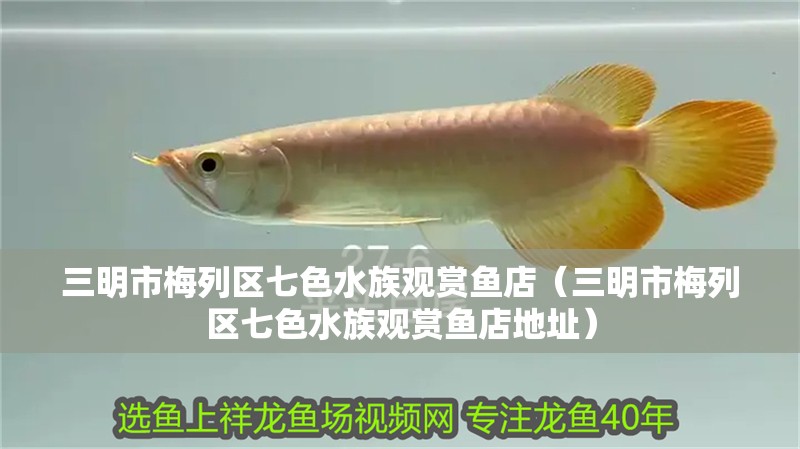 三明市梅列區七色水族觀賞魚店（三明市梅列區七色水族觀賞魚店地址）