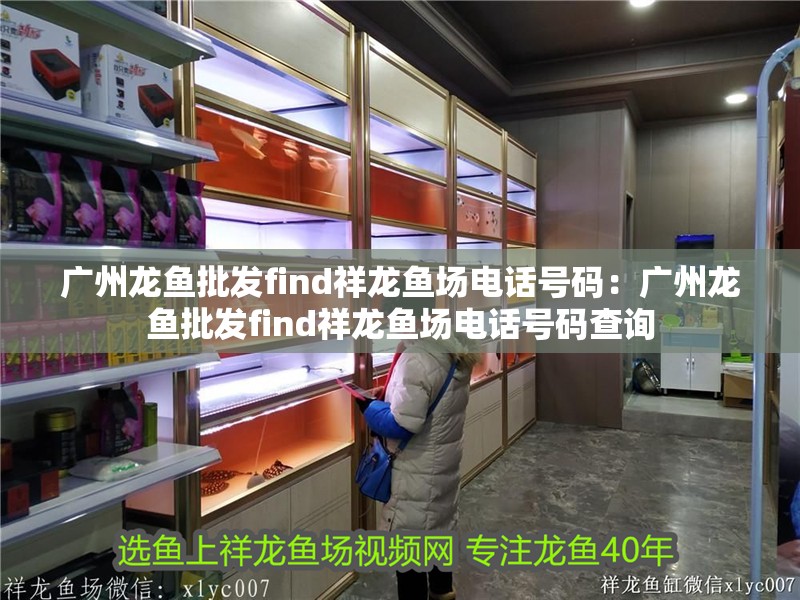 廣州龍魚批發(fā)find祥龍魚場電話號碼：廣州龍魚批發(fā)find祥龍魚場電話號碼查詢