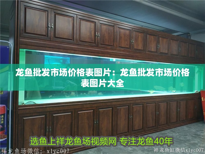 龍魚批發市場價格表圖片：龍魚批發市場價格表圖片大全