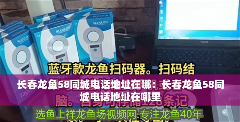 長春龍魚58同城電話地址在哪：長春龍魚58同城電話地址在哪里 長春龍魚58同城電話地址在哪：長春龍魚58同城電話地址在哪里 水族問答