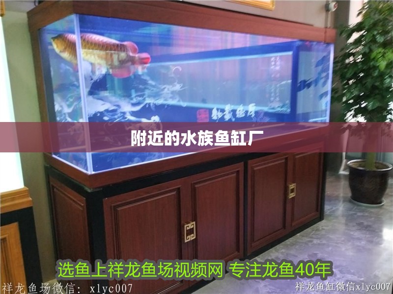 附近的水族魚缸廠