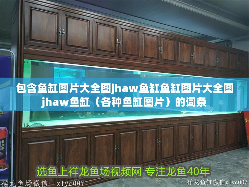 包含魚缸圖片大全圖jhaw魚缸魚缸圖片大全圖jhaw魚缸（各種魚缸圖片）的詞條