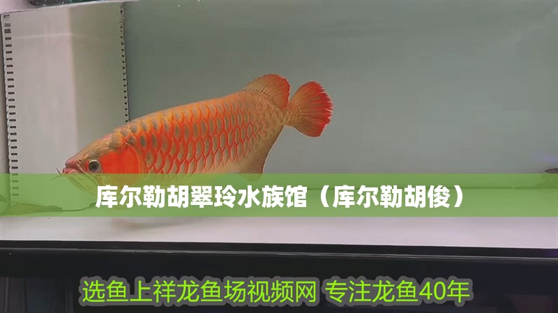 庫爾勒胡翠玲水族館（庫爾勒胡?。? title=