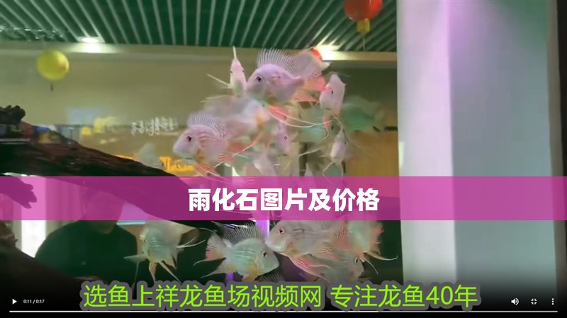 雨化石圖片及價格