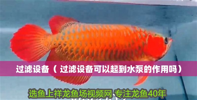 過濾設(shè)備（ 過濾設(shè)備可以起到水泵的作用嗎）