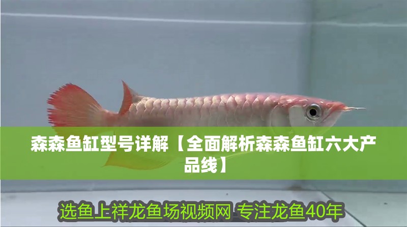 森森魚缸型號詳解【全面解析森森魚缸六大產品線】