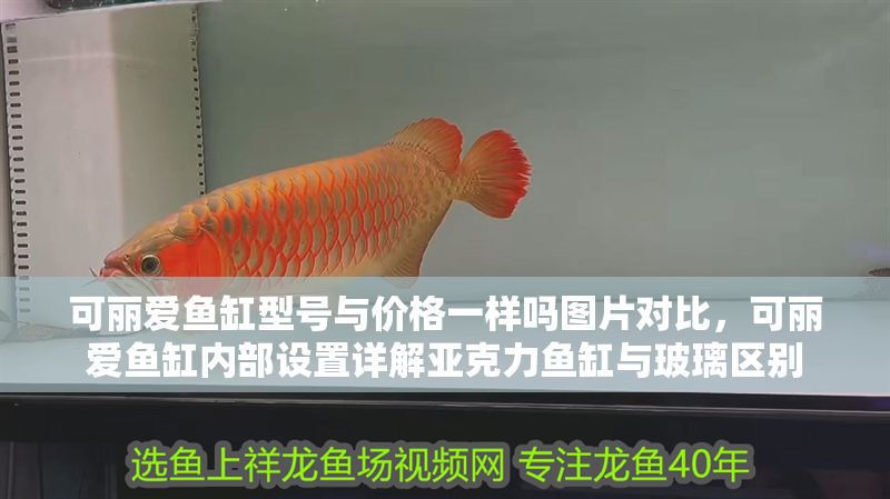 可麗愛魚缸型號與價格一樣嗎圖片對比，可麗愛魚缸內(nèi)部設(shè)置詳解亞克力魚缸與玻璃區(qū)別