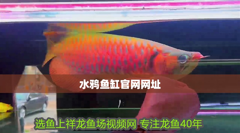 水鴉魚缸官網網址