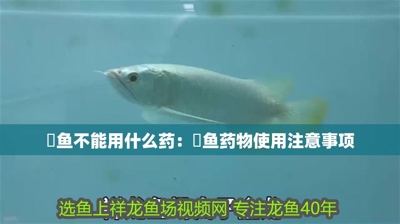 魟魚(yú)不能用什么藥：魟魚(yú)藥物使用注意事項(xiàng)