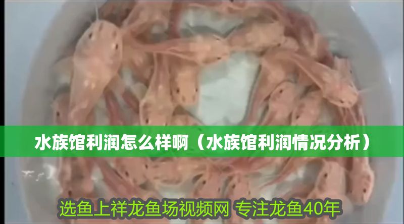 水族館利潤怎么樣啊（水族館利潤情況分析）