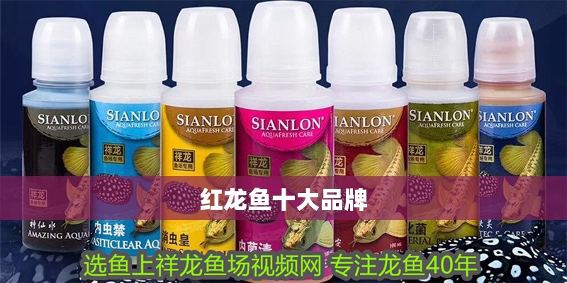 紅龍魚十大品牌