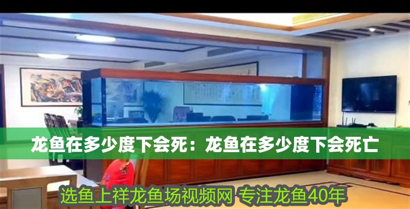 龍魚在多少度下會死：龍魚在多少度下會死亡