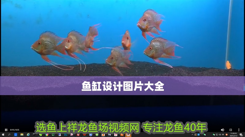魚缸設計圖片大全