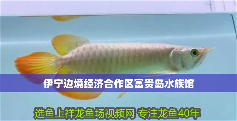 伊寧邊境經濟合作區富貴島水族館 伊寧邊境經濟合作區富貴島水族館 全國水族館企業名錄 第1張