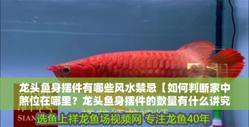 龍頭魚身擺件有哪些風水禁忌【如何判斷家中煞位在哪里？龍頭魚身擺件的數量有什么講究？】