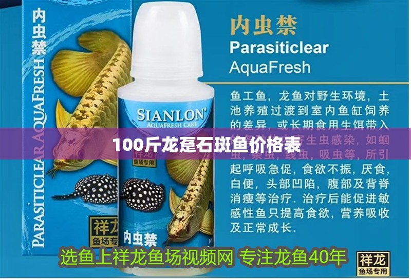 100斤龍躉石斑魚價(jià)格表