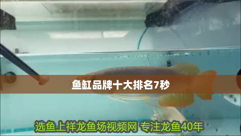 魚(yú)缸品牌十大排名7秒
