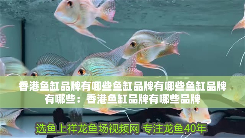 香港魚缸品牌有哪些魚缸品牌有哪些魚缸品牌有哪些：香港魚缸品牌有哪些品牌