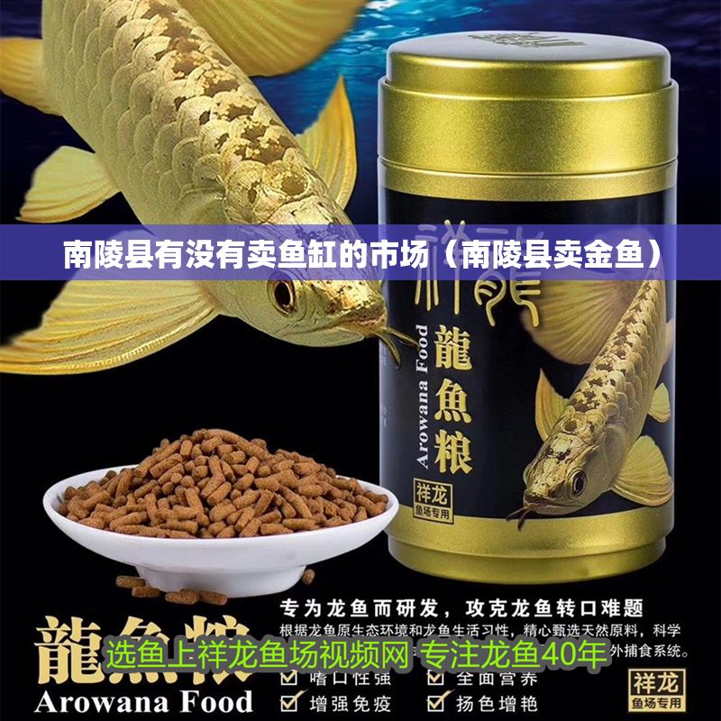 南陵縣有沒有賣魚缸的市場（南陵縣賣金魚） 南陵縣有沒有賣魚缸的市場（南陵縣賣金魚） 錦鯉魚百科 第1張