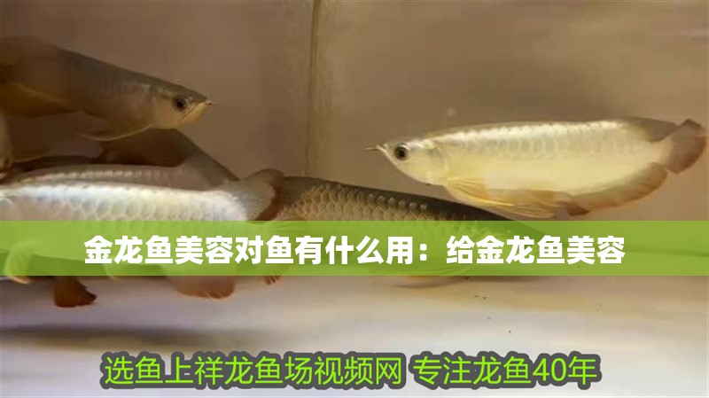 淄博魚缸廠家直銷價格表(淄博魚缸廠家直銷價格表圖片) 觀賞魚百科 淄博魚缸廠家直銷價格表(淄博魚缸廠家直銷價格表圖片) 淄博魚缸廠家直銷價格表(淄博魚缸廠家直銷價格表圖片) 觀賞魚百科