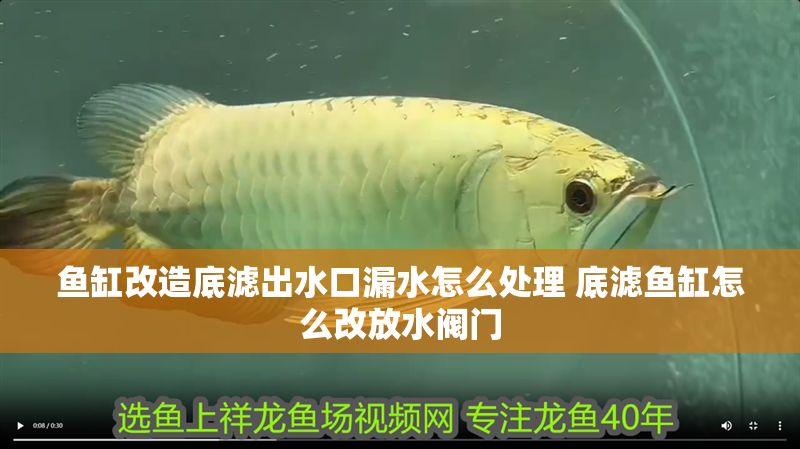 魚缸改造底濾出水口漏水怎么處理 底濾魚缸怎么改放水閥門 魚缸改造底濾出水口漏水怎么處理 底濾魚缸怎么改放水閥門 元寶鳳凰魚百科 第1張