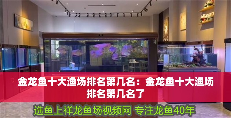 金龍魚十大漁場排名第幾名：金龍魚十大漁場排名第幾名了 金龍魚十大漁場排名第幾名：金龍魚十大漁場排名第幾名了 水族問答