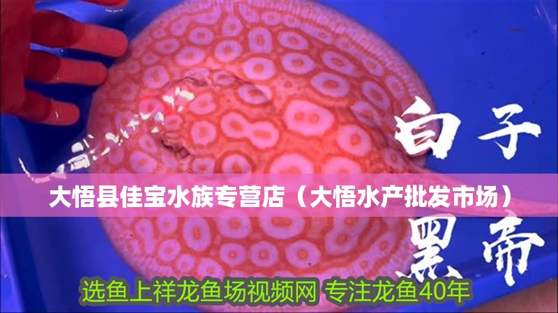大悟縣佳寶水族專營店（大悟水產(chǎn)批發(fā)市場）