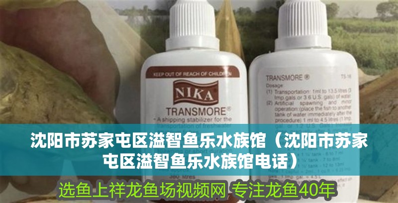 沈陽市蘇家屯區溢智魚樂水族館（沈陽市蘇家屯區溢智魚樂水族館電話）