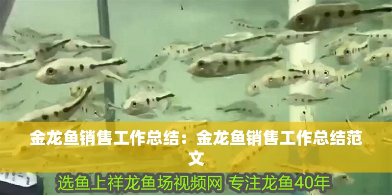 金龍魚銷售工作總結：金龍魚銷售工作總結范文